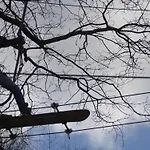 Storchennest By Interhome Conneforde